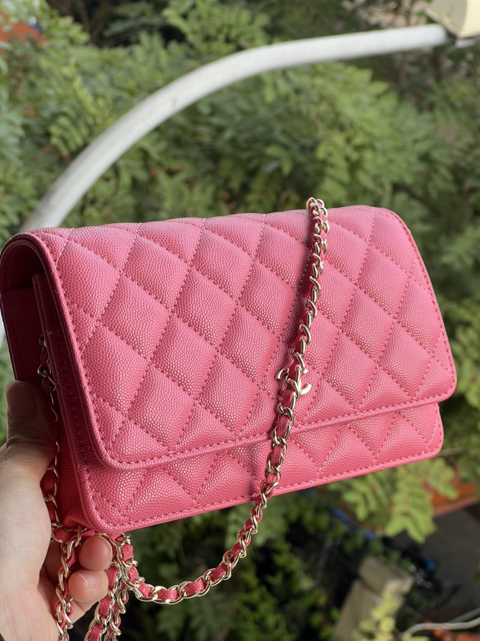 NIB 19S Chanel Iridescent Pink Caviar Classic Wallet on Chain WOC Bag   Boutique Patina