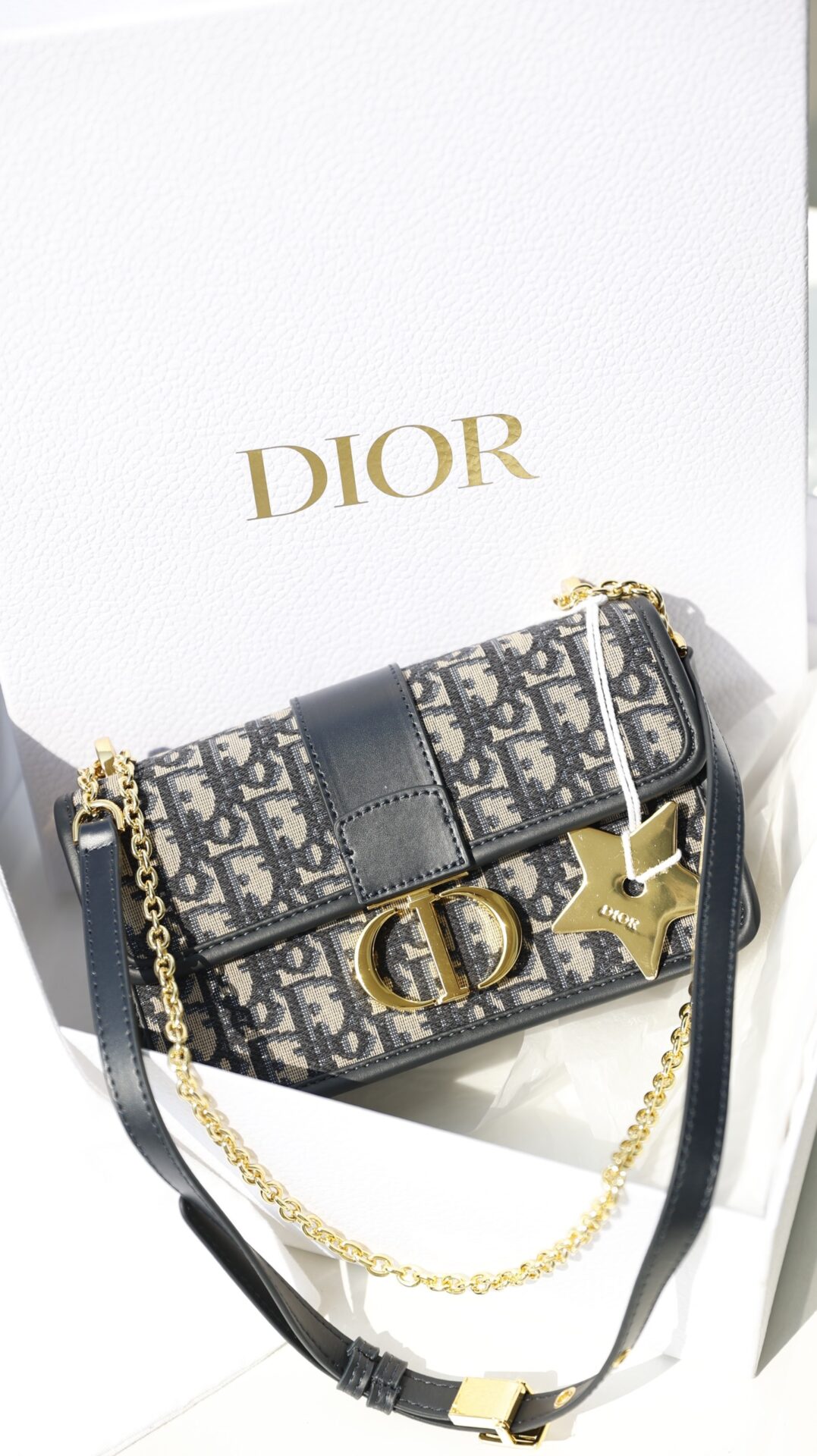 TÚI Dior Women Small Dioramour Dior Book Tote Black White and Red DChess  Heart Embroidery