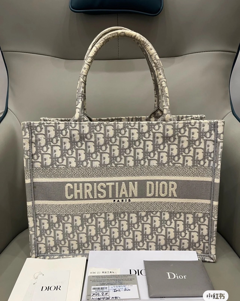 Christian Dior DIOR BOOK TOTE LARGE BAG Light green Cloth ref853805  Joli  Closet