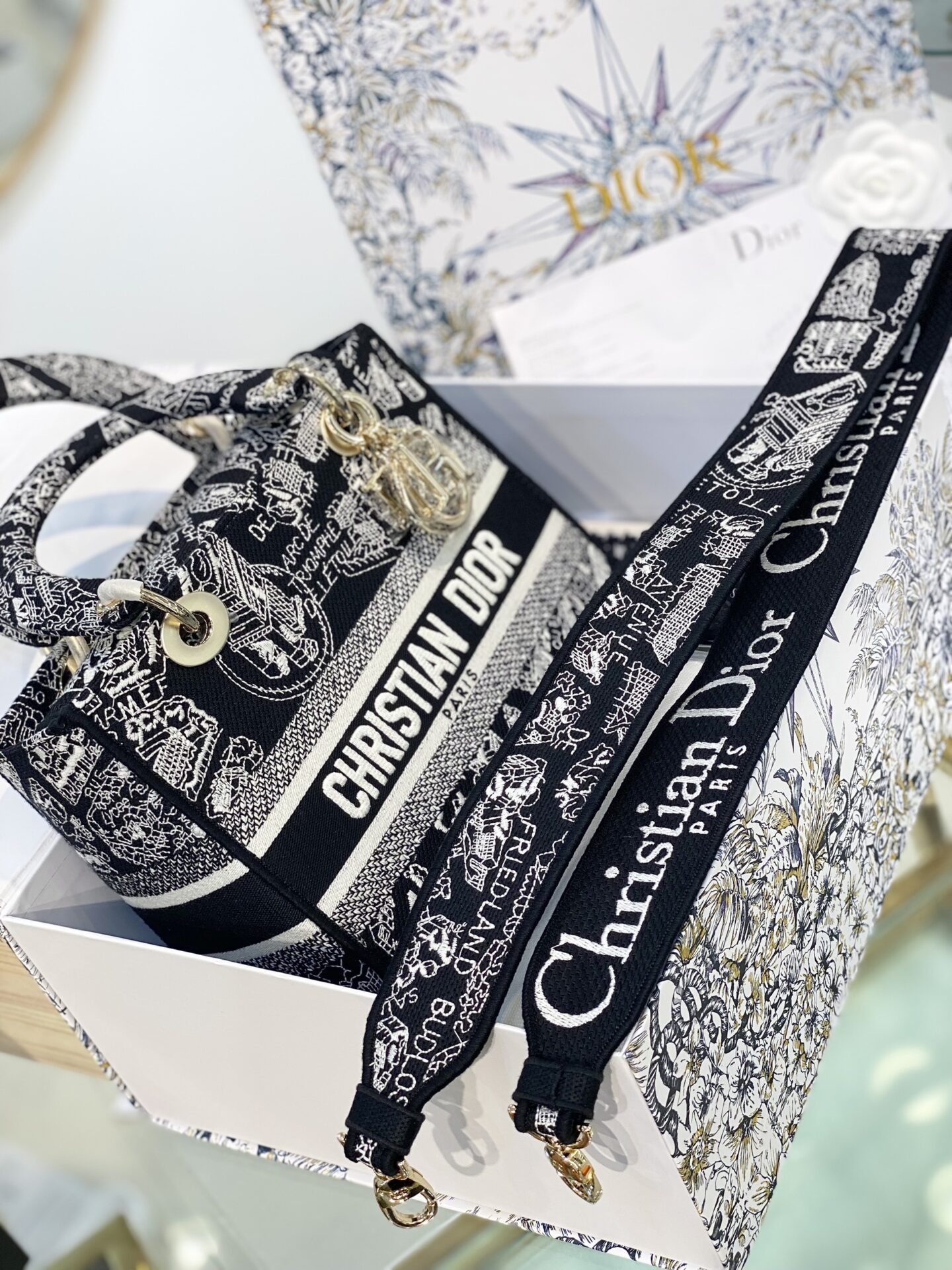 Mini Lady D-Lite Bag White and Black Plan de Paris Embroidery