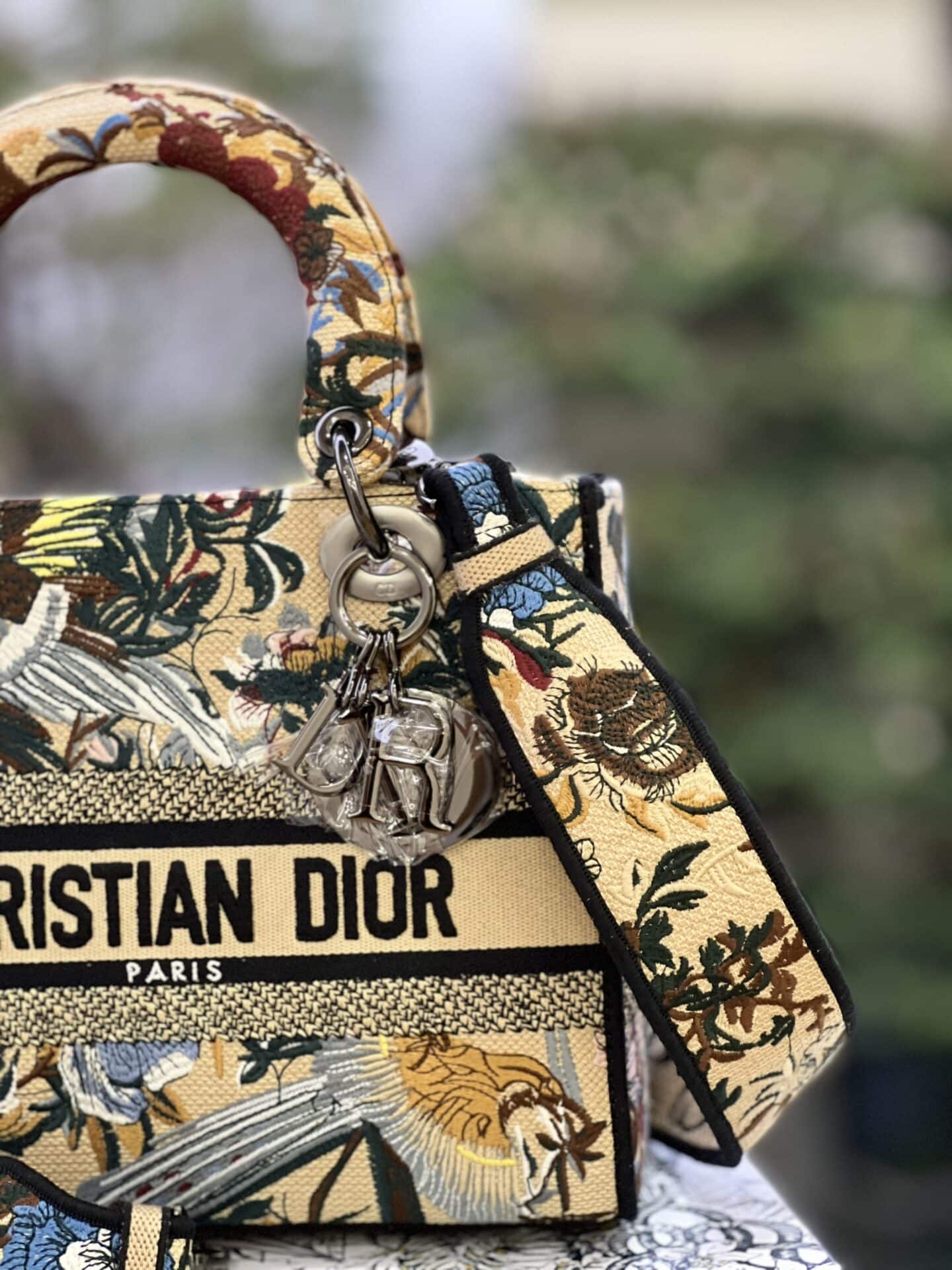 Christian Dior Beige Jardin D'Hiver Medium Dior Book Tote